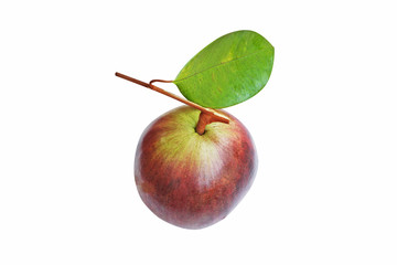 Fresh star apple,tropical fruit and green leaf isolated on white background 