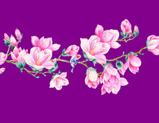 Magnolia flower illustration