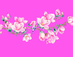 Magnolia flower illustration