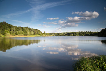 forest lake beautiful landscape