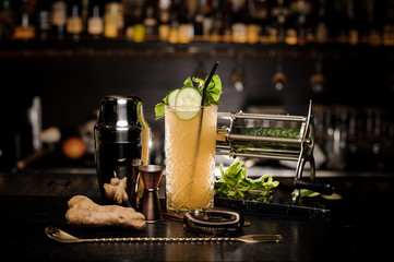 Fresh alcoholic cocktail with cucumber, mint and ginger