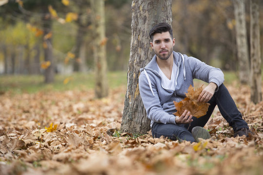 Handsome man in nature holding autumn leaves. Copy space