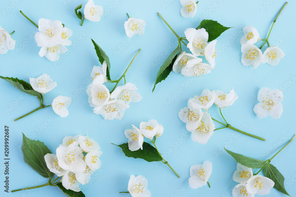 Wall mural jasmine flowers pattern top view, flat lay.