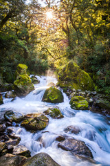 Marian Creek, Fiordland - Südinsel von Neuseeland