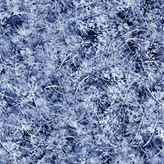 Watercolor floral seamless background, texture of leaves, grasses, plants. Juniper with berries, moss,wild grass, blue plants. Natural wood pattern.Beautiful pattern for your design.Manual graphics. 