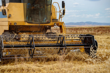 Fototapeta na wymiar harvester-thresher in the wheat field
