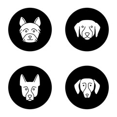 Dogs breeds glyph icons set