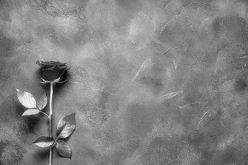 Black rose lies on a dark stone slab