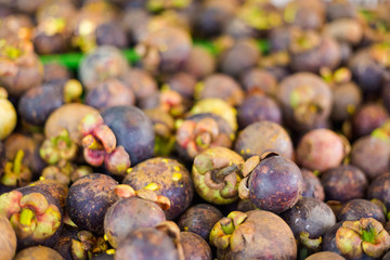 Thai fresh mangosteen fruits