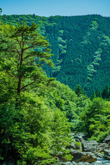 Fototapeta na wymiar 西日本の渓谷・沿線逆光の風景