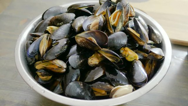 Fresh shellfish seafood. Close-up of bowl with raw mussels in opened shells. 4K