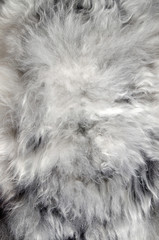 Abstract fur background. Sheepskin rug.