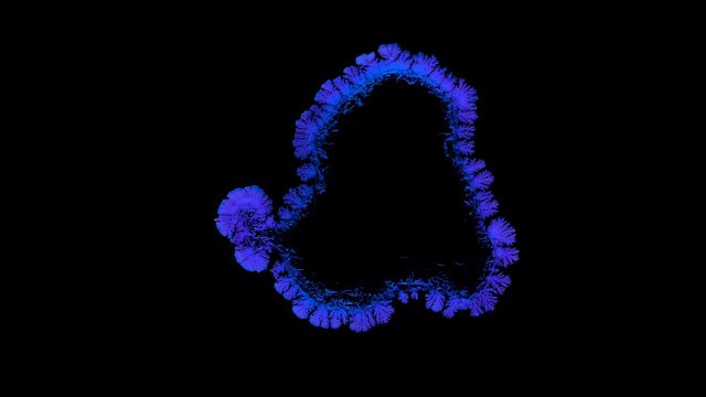 Drop drying with crystals growth. Time lapse of crystallization process under microscope. Separated on pure black background, contains alpha channel.