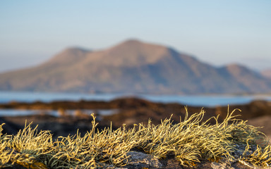 Berg Mweelrea bei Connemara in Donegal County