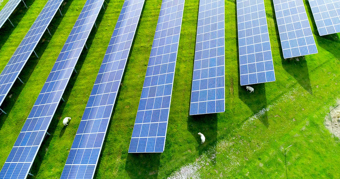 champs de panneaux solaire dans une ferme solaire