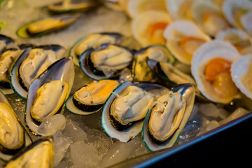 Thai fresh mussels on market
