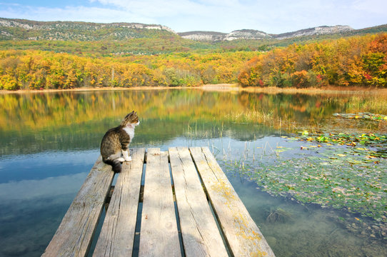 Autumnal landscape with lake