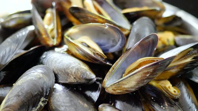 Fresh shellfish seafood. Close-up of bowl with raw mussels in opened shells. 4K