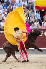 Evening of bulls in Spain