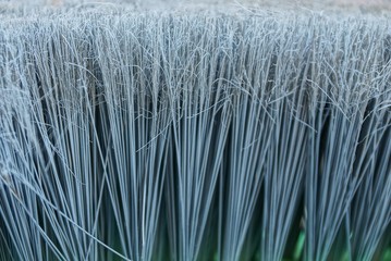 gray texture of long bristles on the brush
