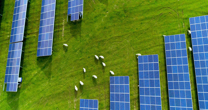Naklejki champs de panneaux solaire dans une ferme solaire