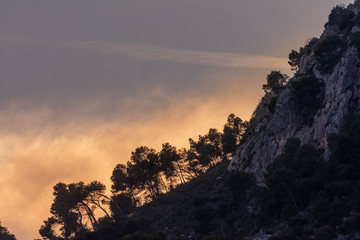 mountain landscape ith forest and sunset
