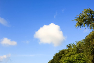 Obraz premium Beautiful white clouds and blue sky background, The blue sky with white cumulus clouds, Beautiful cirrus clouds against the blue sky, soft clouds with day light on color blue sky,