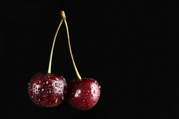 cherry on a black background