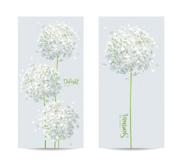 Vector cards set with white Hydrangeas - 210004611