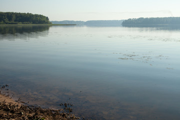 Forest lake view early in the morning in the fog