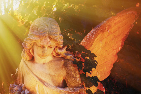 Antique statue of gold angel in the sunlight.
