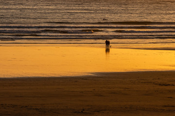 Fototapeta na wymiar Couple walking their dog on the beach at sunset. Surfers silhouettes in the distance