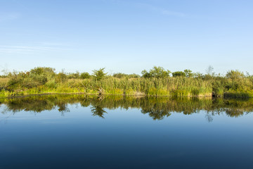 Trees and shrubs on the shoreline which are reflected in water