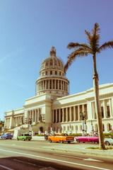 Fototapeta na wymiar A vintage car circulating in front of the Capitol in Havana, Cuba.