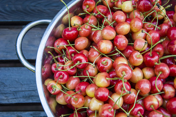Yellow red cherries with petioles in a round tin bowl