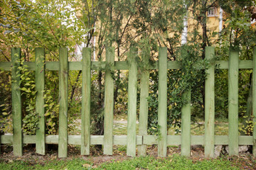 Wooden fence on green garden 