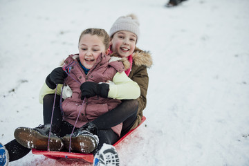 Friends on a Sleigh