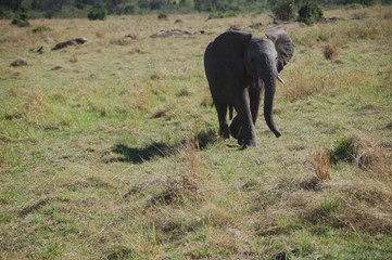 Kenya