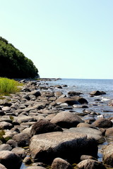 Fototapeta na wymiar Ein Ostseeufer an einem sonnigen Sommertag