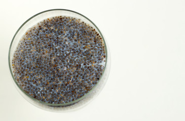 chia pudding coconut milk