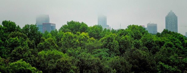View of the tower of downtown Raleigh North Carolina  from Dorothea Dix City Park on a hazy summer morning