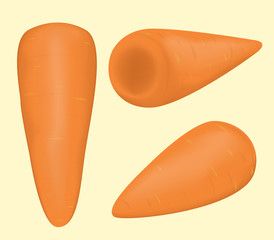 vegetable Carrot. food healthy and natural organic vector and illustration