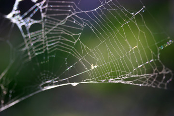 abstract spider web background