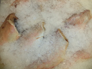 carcass of sea bass sprinkled with pieces of ice