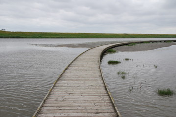 Spaziergang im Langwarder Grooden