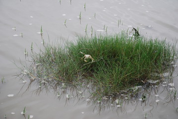 Spaziergang im Langwarder Grooden