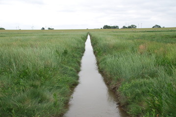 Spaziergang im Langwarder Grooden