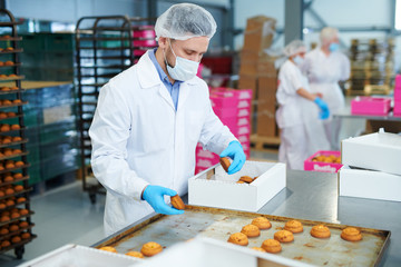 Confectionery factory worker in white coat collecting freshly baked pastry from tray and putting it...