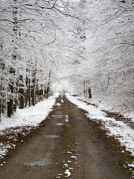 chemain d'hiver