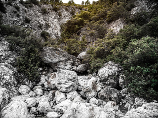 Volcanic Nature Scape